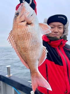 タイの釣果