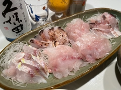 ヒメコダイの釣果