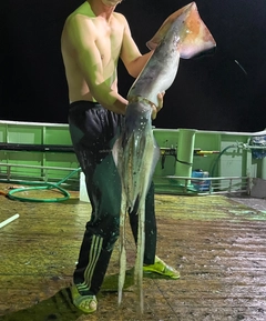 ムラサキイカの釣果