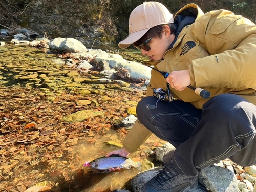 ニジマスの釣果