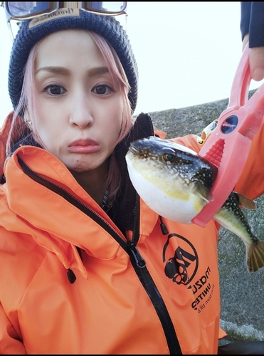 フグの釣果