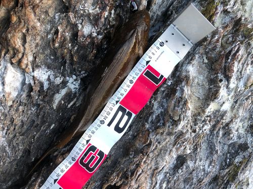 アイナメの釣果