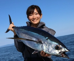 ビンチョウマグロの釣果