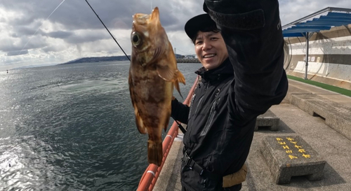 アカメバルの釣果