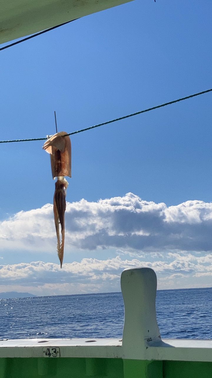 こっちおいでお魚さんさんの釣果 2枚目の画像