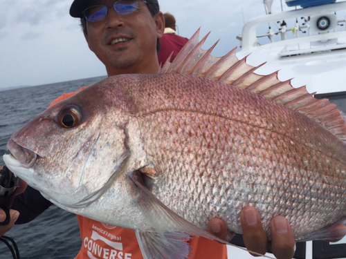 マダイの釣果