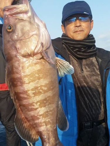 マハタの釣果