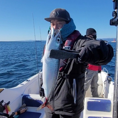 サバの釣果