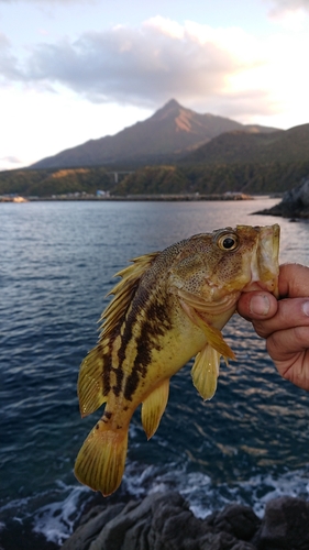 釣果