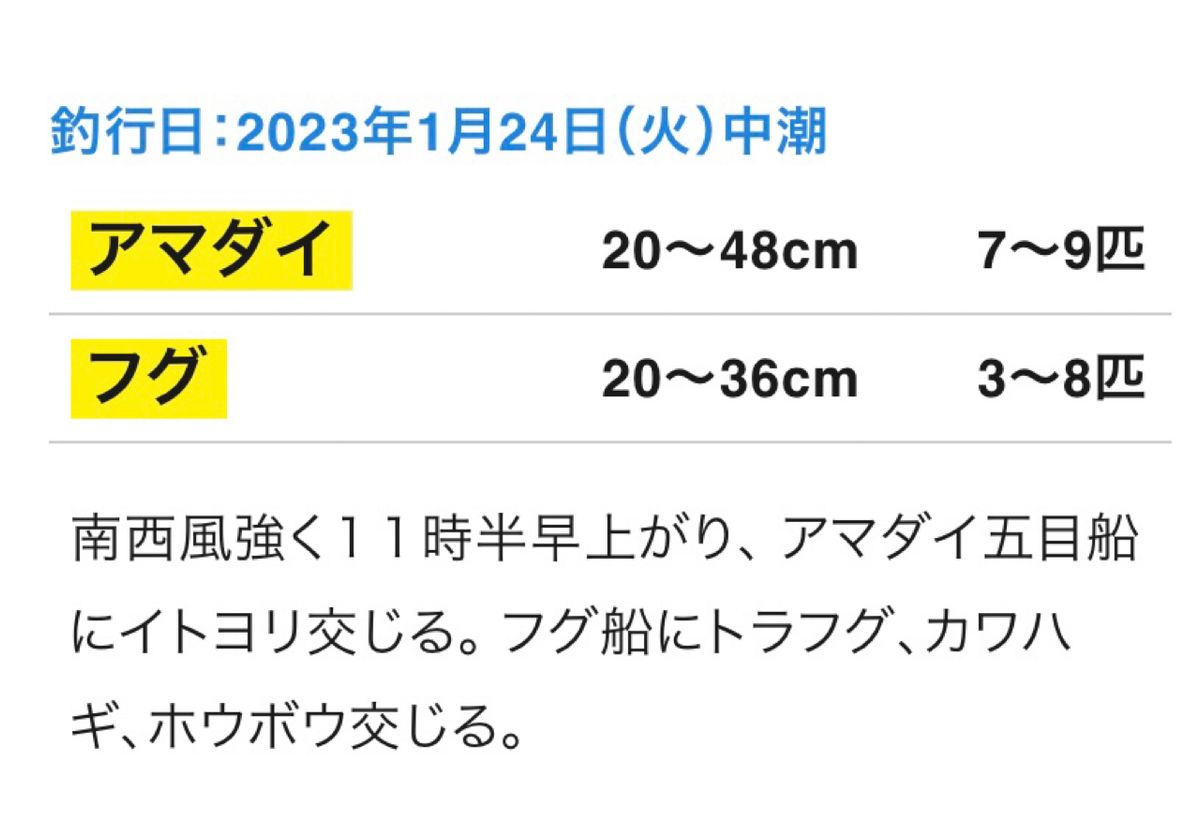 てぃんやくんさんの釣果 2枚目の画像