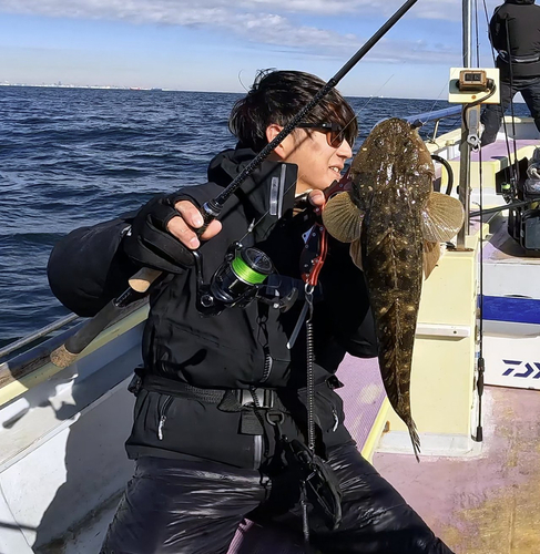 マゴチの釣果