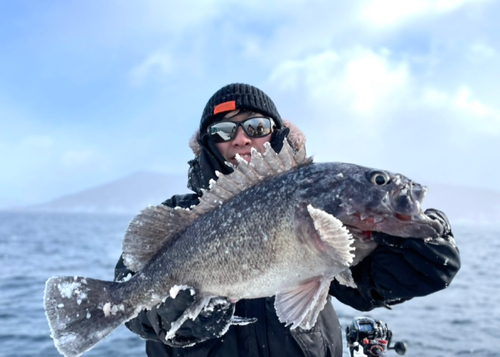 クロソイの釣果