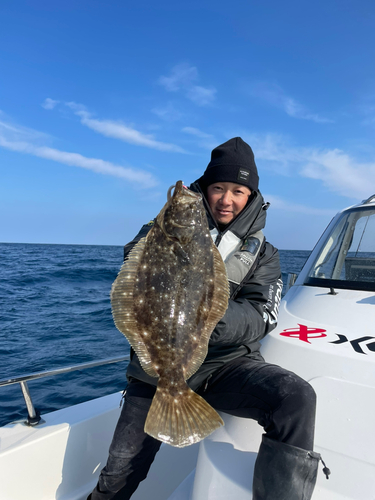 ヒラメの釣果