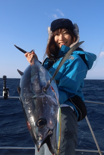 ビンチョウマグロの釣果