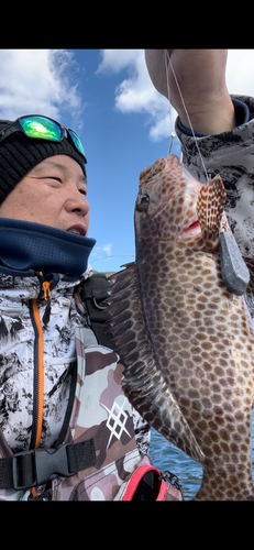 オオモンハタの釣果