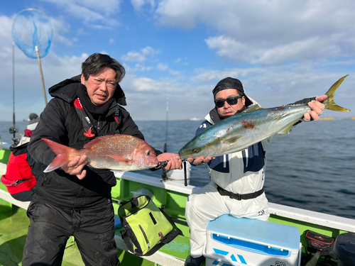 マダイの釣果