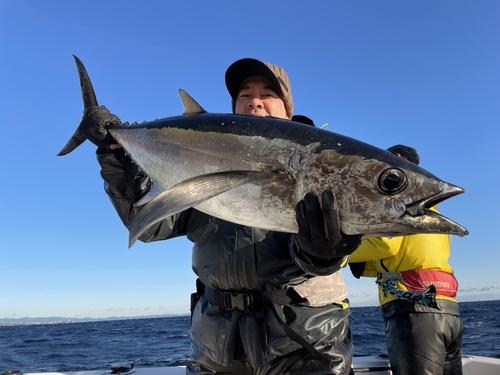 ビンチョウマグロの釣果