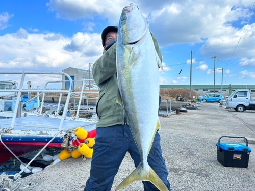 ヤズの釣果