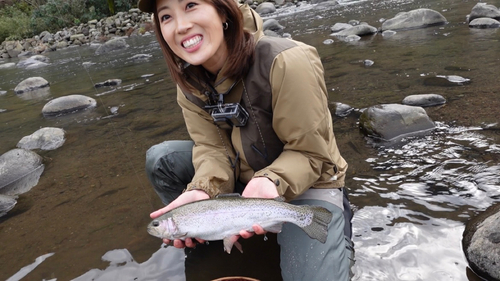 ニジマスの釣果