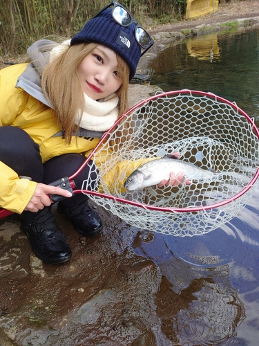 ニジマスの釣果