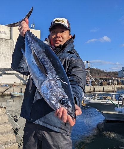 ビンチョウマグロの釣果