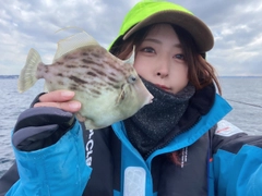 カワハギの釣果