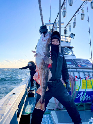 マダラの釣果