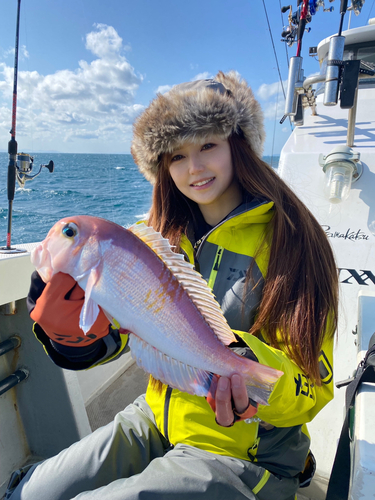 アマダイの釣果