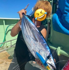 カツオの釣果