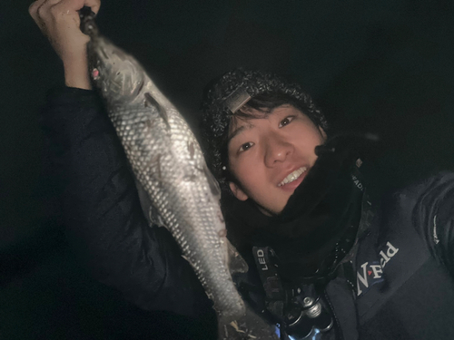 ニゴイの釣果