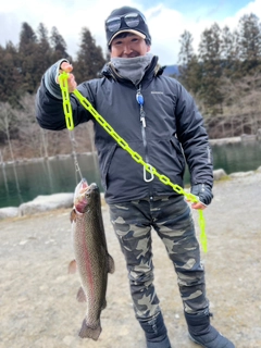 トラウトの釣果