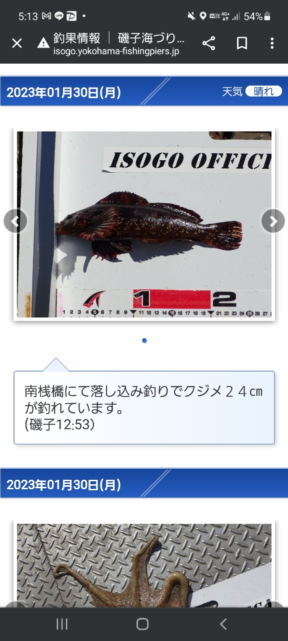 クジメ