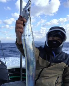 タチウオの釣果