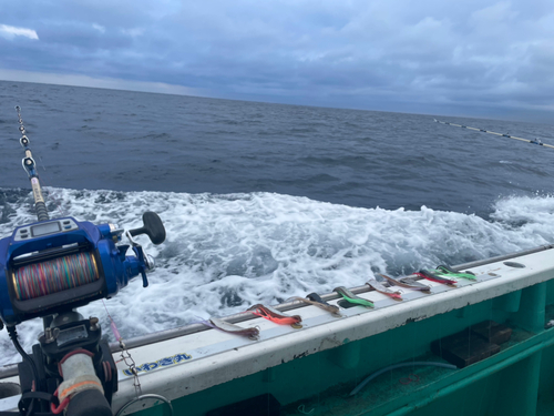 アコウダイの釣果