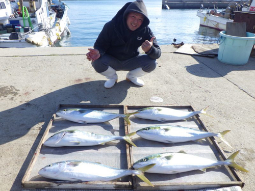 ワラサの釣果