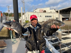 チヌの釣果