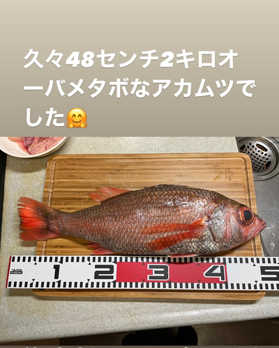 アカムツの釣果