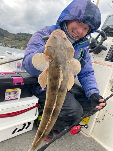 マゴチの釣果