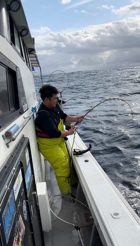 タラの釣果