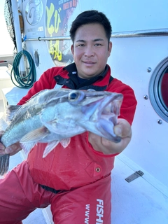 オニカサゴの釣果