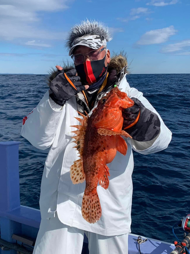 オニカサゴの釣果