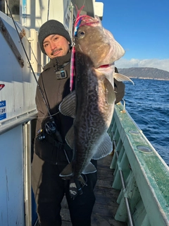 マダラの釣果