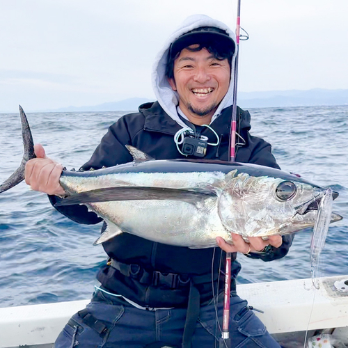 ビンチョウマグロの釣果