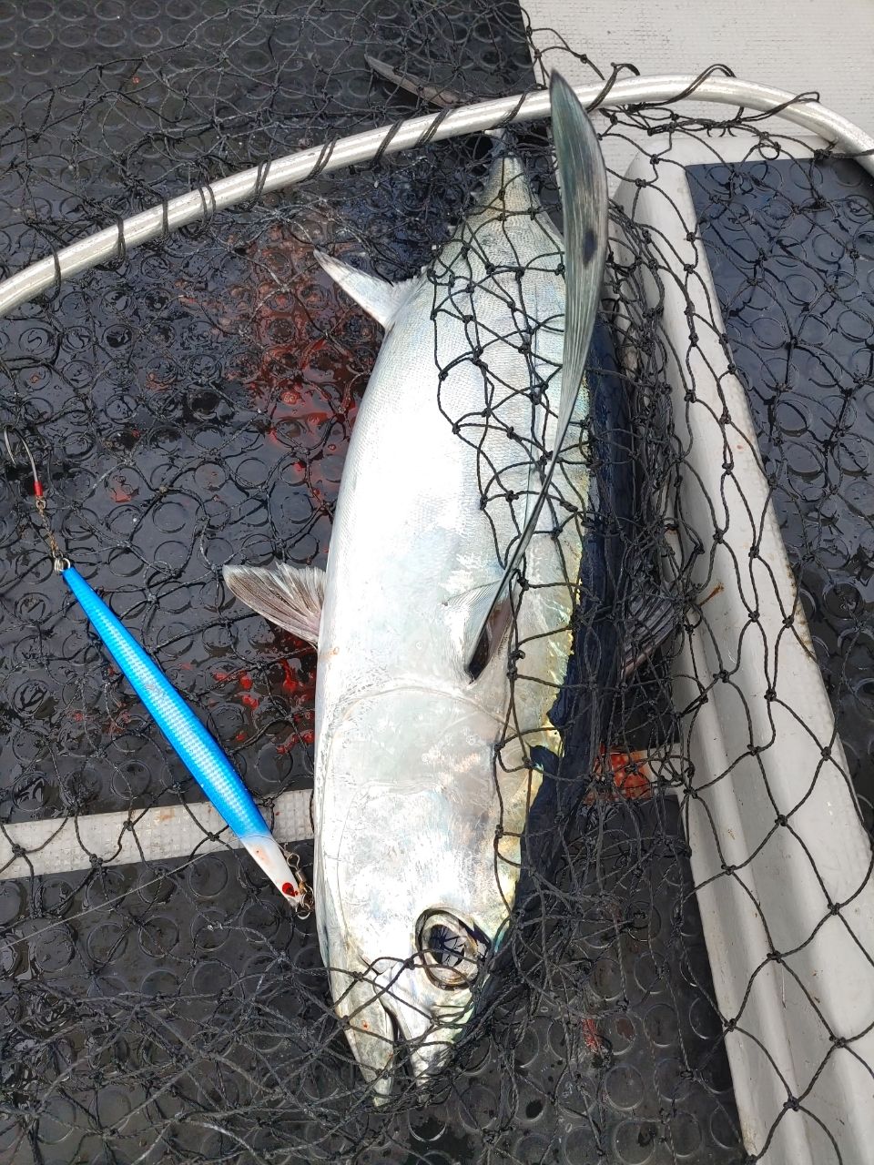 三重県ジギング船　絆さんの釣果 3枚目の画像