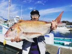 マダイの釣果