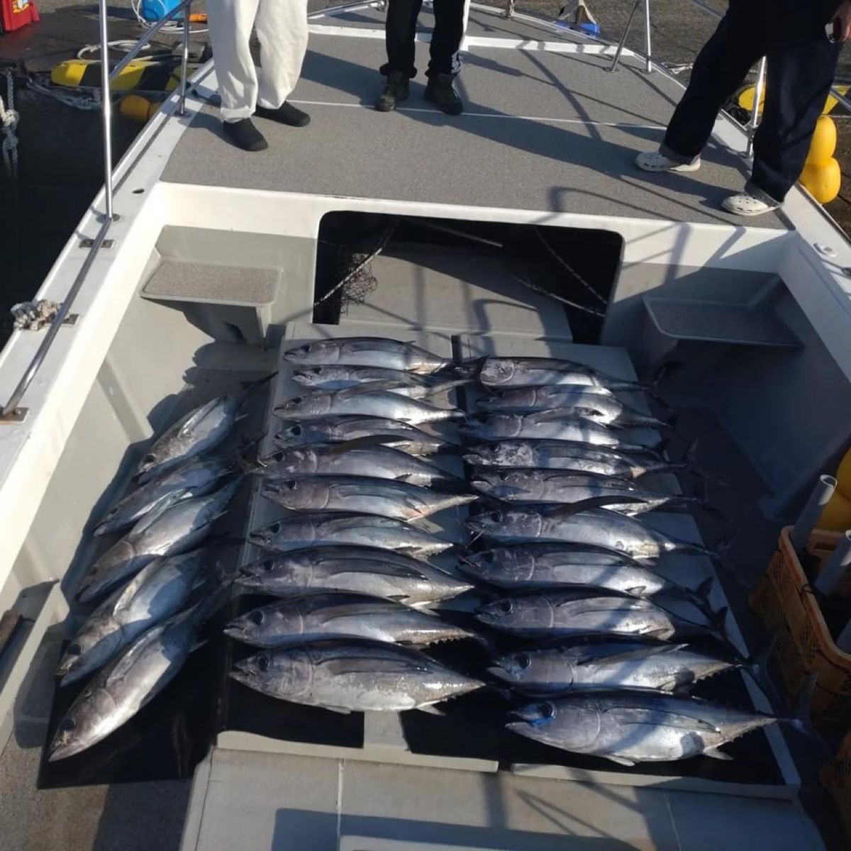 義勇さんの釣果 3枚目の画像