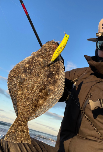 ソゲの釣果