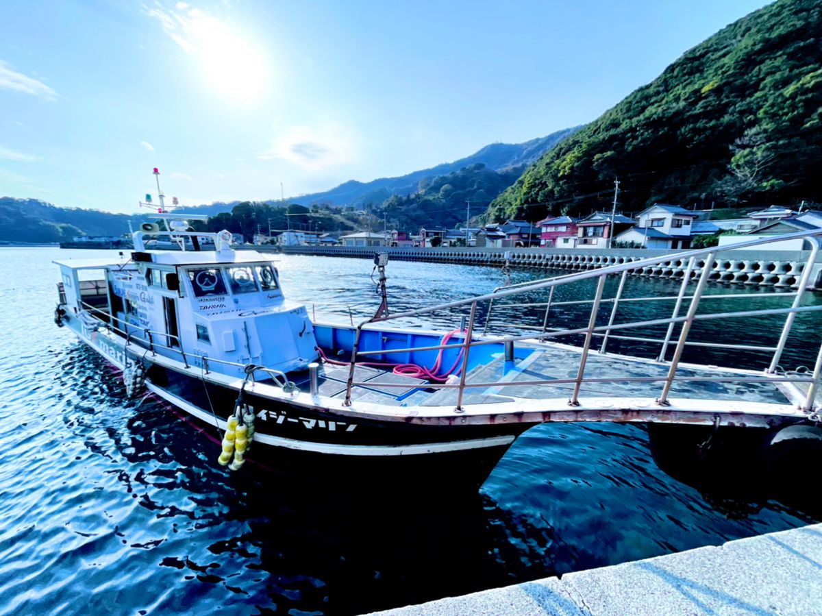 tdaiwaさんの釣果 3枚目の画像