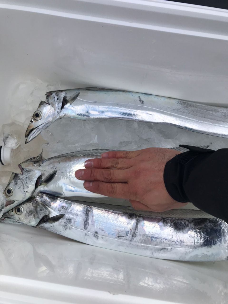 ☆沙乃○☆さんの釣果 2枚目の画像