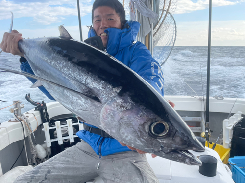 ビンチョウマグロの釣果